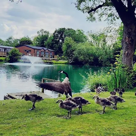 Lakefront 5 Star Country Park Private Fishing Free Parking M *